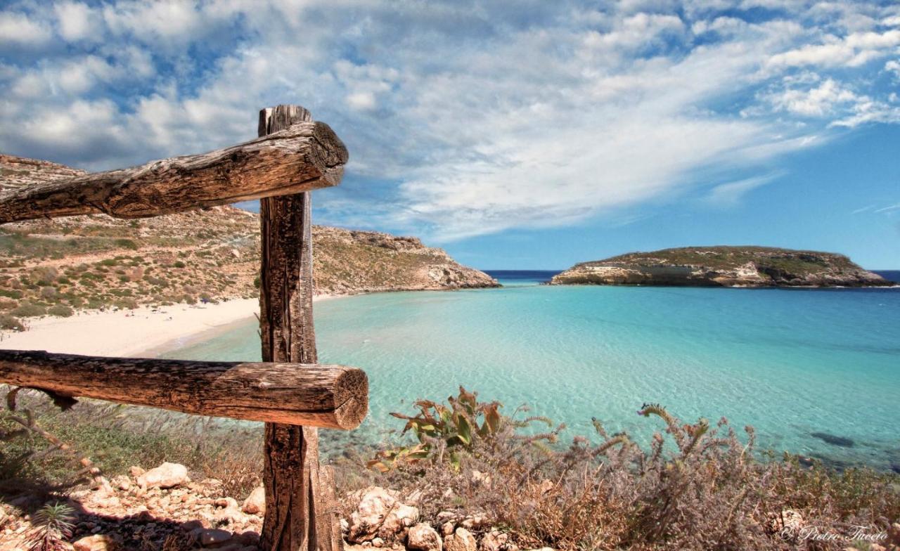 Pomelia - Lampedusa